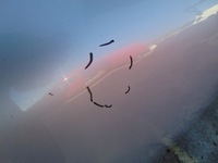 фото thumb №9, Капот крышка двигателя suzuki vitara ii 2005-