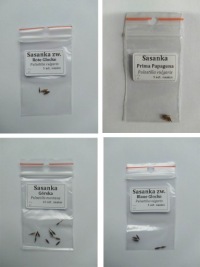 SASANKA COLLECTION SEEDS Набор из 4 пакетов