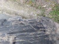 фото thumb №6, Подкрылок левая передние renault megane iv lift