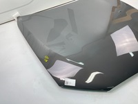 фото thumb №3, Капот bmw g30 c3e