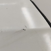 фото мини №9, Lexu rx 450h 2022 задний сторона правая задние двери  6700348280