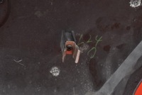 фото thumb №6, Захист двигуна верхній lf9610251 mazda 5 1 i cr 2.0 16v 146 km lift 05-10