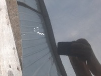 фото thumb №5, Капот крышка двигателя renault megane iii cc cabrio цвет nv676