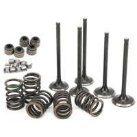 фото thumb №9, Набір клапана впускний i випускний головки