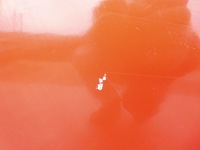 фото thumb №6, Двері skoda roomster 5j7 ліва передні lf3k оригінал