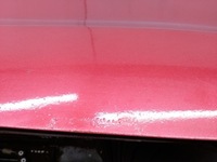 фото thumb №15, Seat leon 5f 2019 права сторона двері задні