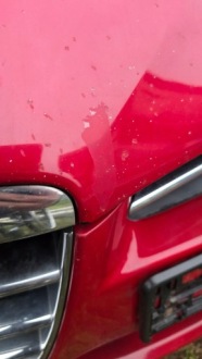 Капот перед передня alfa romeo 159 289 комплектна Недорого, фото thumb