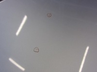 Bmw 5 f10 f11 капот передняя крышка перед 354 titansilber серебристая 7207194 Доставка, фото thumb