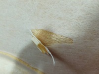 фото thumb №9, Потолок vivaro b легковой длинный renault trafic iii 2014-