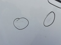 фото thumb №3, Капот кришка двигуна renault megane iii 09-13