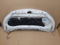 фото thumb №6, Nissan nv200 капот білий