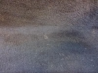 фото thumb №4, Jaguar xf x250 килимок обшивка підлога