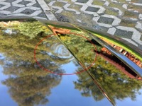 фото thumb №8, Audi a4 b9 рестайлинг капот комплектная 2020-2024