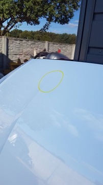 фото thumb №9, Audi a5 8w ls9r белая жемчуг капот крышка двигателя красивая демонтаж