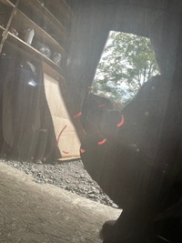 фото thumb №5, Капот vw passat b8 3g кришка двигуна 14-