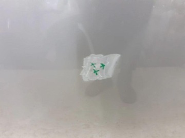 фото thumb №6, Капот ford focus mk4 2018-