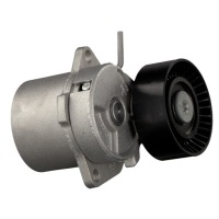 Febi 09813 натяжитель ремень клиновой многоручейковый Оригинал, фото thumb