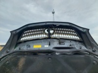 Капот + решётка радиатора + петли 1e0 lexus rx 2 rx400 h Оригинал, фото thumb