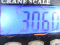 Рессора задний  mercedes vario автобус 814 Недорого, фото thumb