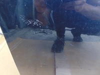 фото thumb №7, Дверь правые перед volkswagen golf v универсал