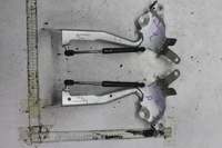 фото thumb №1, Петля петли капот комплект scenic iii ted69 13-