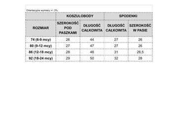 ЭЛЕГАНТНЫЙ КОМПЛЕКТ РУБАШКА И ШОРТЫ, 74 года
