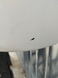 фото thumb №11, Бампер перед передній peugeot 208 i 2012-2015 колір ewp