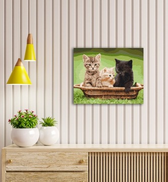 Картина по номерам Раскрась! Кошки 40х50 см.