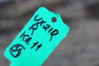 Датчик скорости вращения колеса abs правый lexus ux 250h 2021 в Украине, фото thumb