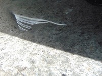 фото thumb №11, Дверь правый задняя mercedes glk w204 lift