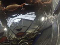 фото thumb №11, Бампер задняя задний do bmw x4 g02 m-pakiet