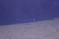 фото thumb №13, Двері лівий задня renault megane iii hb