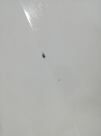 Vw touran 2 1t caddy 3 2k рестайлинг  10/15 капот крышка крышка багажника перед Недорого, фото thumb