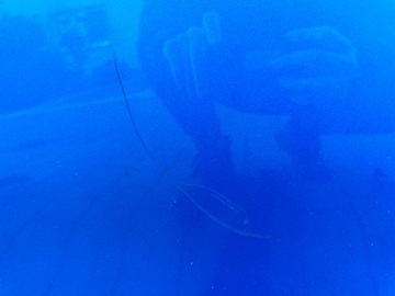 фото thumb №7, Peugeot 2008 ii 2 19- двері праві передні перед задні зад комплект