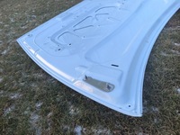 фото thumb №9, Tesla y lift juniper капот