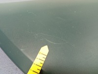 фото thumb №6, Scenic rx4 молдинг двері перед ліва 7700437691