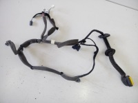 Купить Электропроводка дверь левое  задняя renault scenic 3, фото thumb