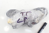 фото thumb №7, Жгут дверь audi tt 8j 8j0971029p