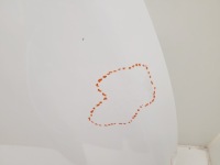 Ford connect mk2 рестайлинг  капот Оригинал, фото thumb