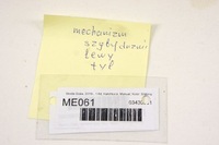 фото thumb №5, Me061 skoda scala механізм скло лівий задня hb