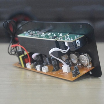Płyta 220V/12V/24V Mono Wzmacniacz