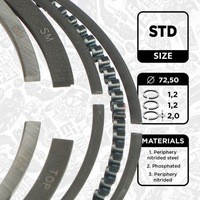 фото thumb №2, Набор колец поршня r1014800 et engineteam