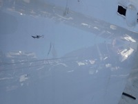 фото thumb №10, Ford transit custom 12-23 дверь боковые сдвижные