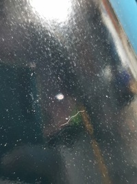 фото thumb №6, Toyota prius iii 3 zvw30 hybrid крыло перед передний левый 202