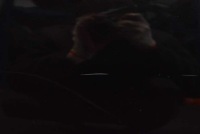 фото thumb №8, Дверь правое перед передние jbc1807 jaguar xf x250 kombi lift 11-15