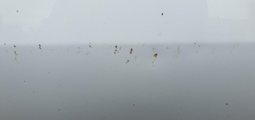 фото thumb №6, Дверь левый перед kia sportage iv lak.wd