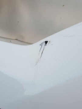 фото thumb №10, Citroen c4 iii 20- бампер перед переднє 9834692580