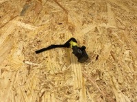 фото thumb №5, Датчик удару ударний штекер vw skoda seat audi 5wa959651a