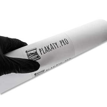Plakat Plakaty A3 Wydruk Papier 150g 29,7x42cm