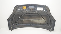 фото thumb №9, Капот крышка двигателя honda crv iii 06-09r b92p